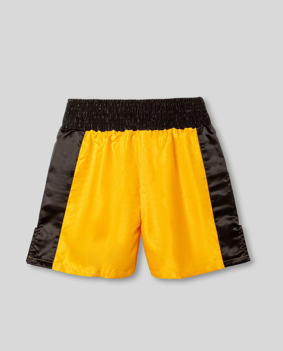 NEVADA AMARILLO